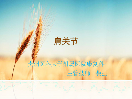肩关节
