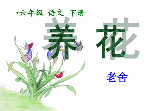 六年级《养花》课件