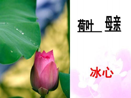 《荷叶母亲》公开课课件.ppt