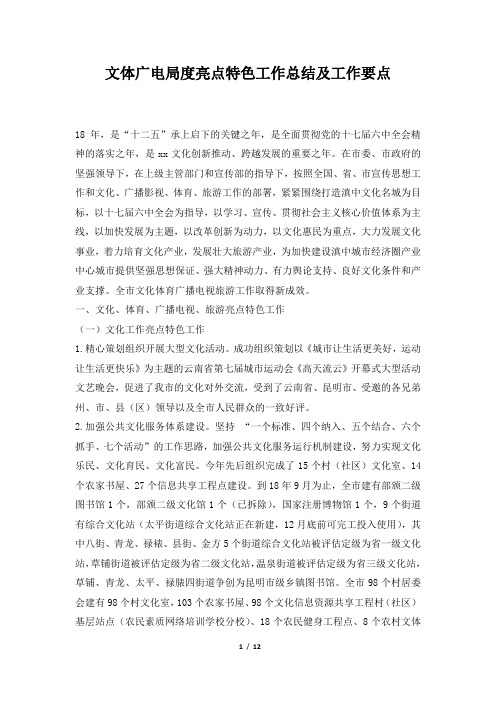 文体广电局度亮点特色工作总结及工作要点