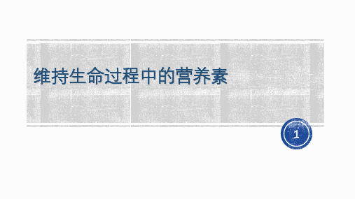 维持生命过程的营养素
