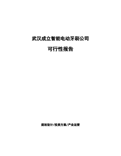 武汉成立智能电动牙刷公司可行性报告