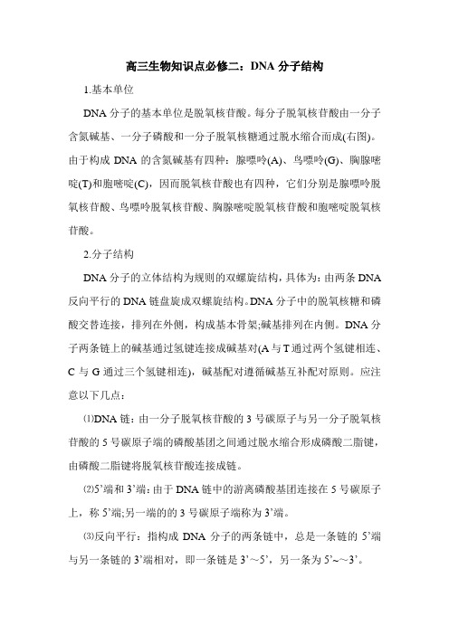 高三生物知识点必修二：DNA分子结构.doc
