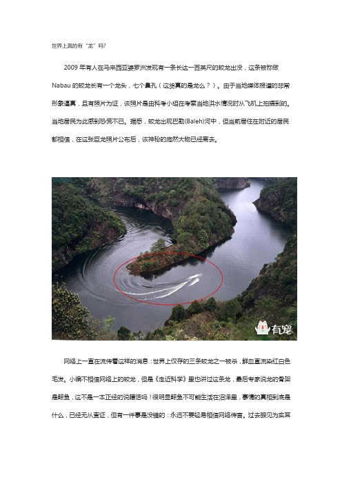 世界上真的有“龙”吗