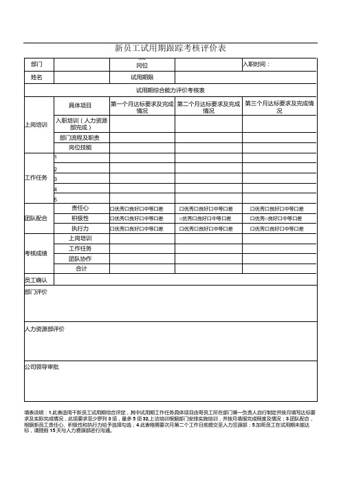 公司新员工试用期跟踪考核评价表模板