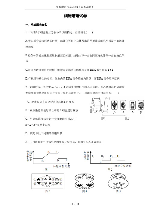 细胞增殖考试试卷(有丝和减数)-