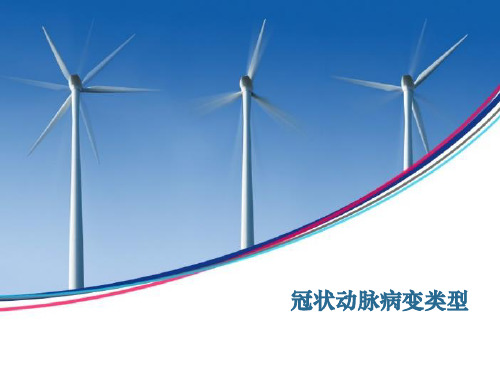 冠状动脉病变类型精品PPT课件