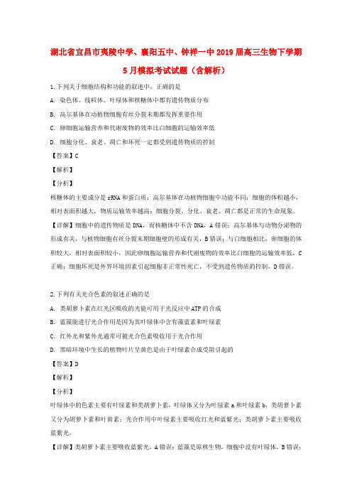 湖北省宜昌市夷陵中学、襄阳五中、钟祥一中2019届高三生物下学期5月模拟考试试题(含解析)