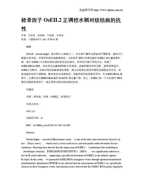 转录因子OsEIL2正调控水稻对纹枯病的抗性