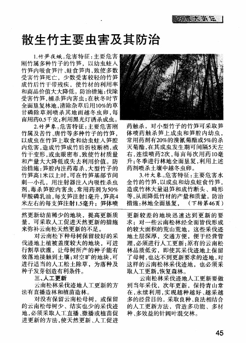 散生竹主要虫害及其防治