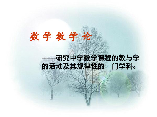 数学教学论.ppt