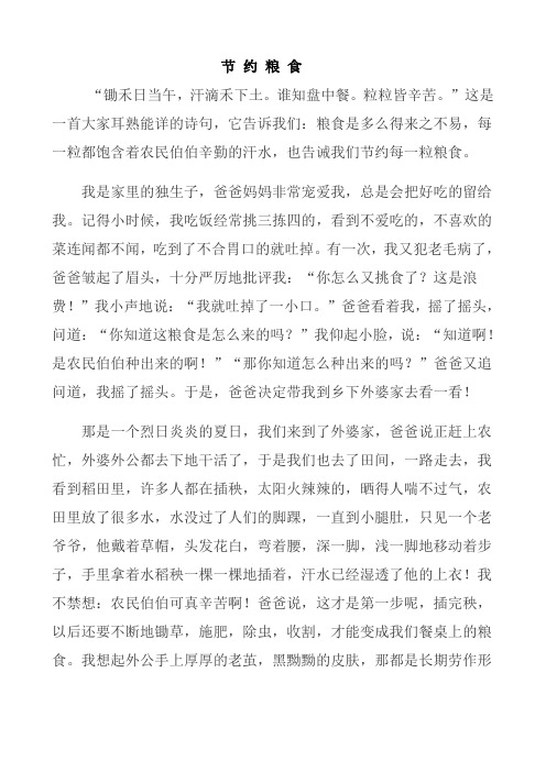 爱粮节粮从我做起