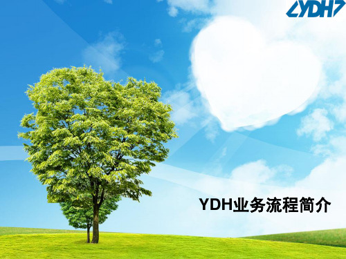 YDH业务流程简介