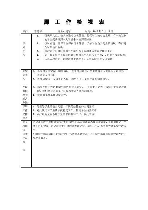 周工作检视表