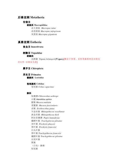 哺乳类(全)
