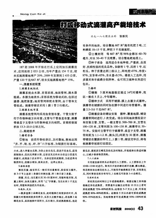 打瓜移动式滴灌高产栽培技术