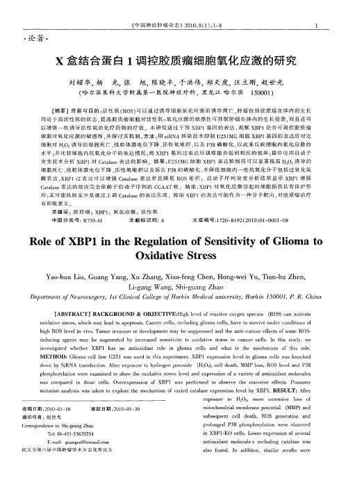 X盒结合蛋白1调控胶质瘤细胞氧化应激的研究