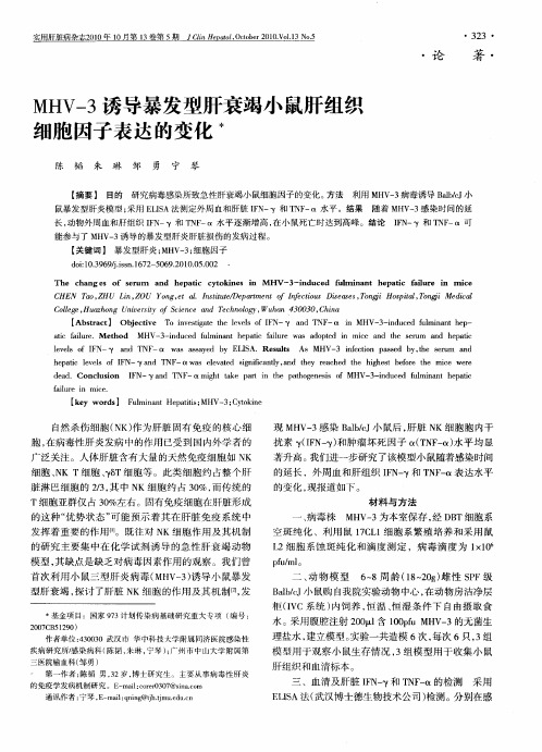 MHV-3诱导暴发型肝衰竭小鼠肝组织细胞因子表达的变化