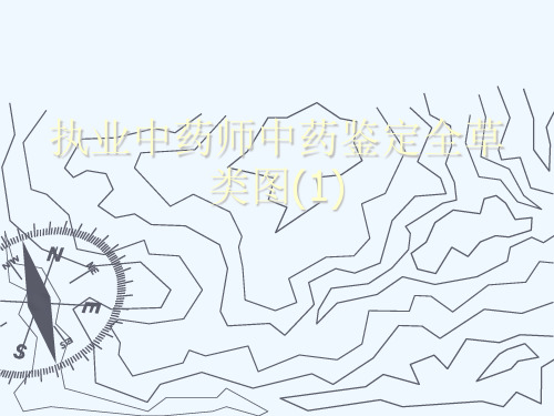 执业中药师中药鉴定全草类图(1)[可修改版ppt]