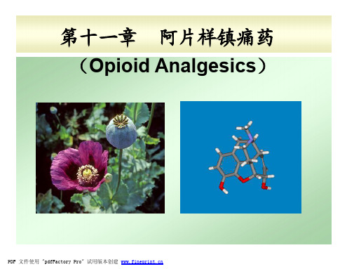 2013年第11章阿片样镇痛药sxj [兼容模式]