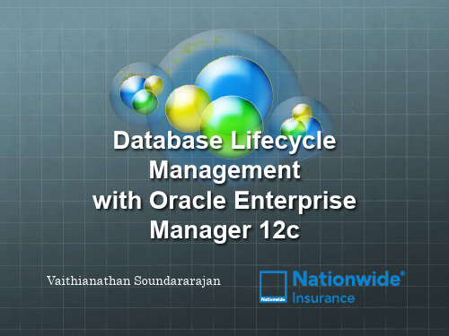 Oracle Enterprise Manager 12c 数据库生命周期管理说明书
