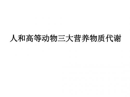 人和高等动物三大营养物质代谢课件-精选文档