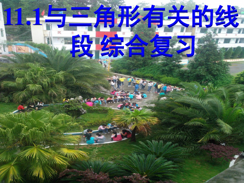 人教版八年级上册数学课件：与三角形有关线段综合复习优秀课件