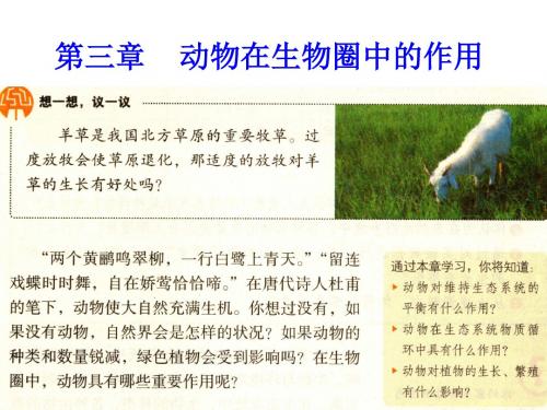 动物在生物圈中的作用课件(优秀版)