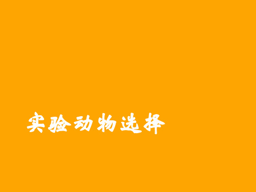 实验动物的选择.ppt