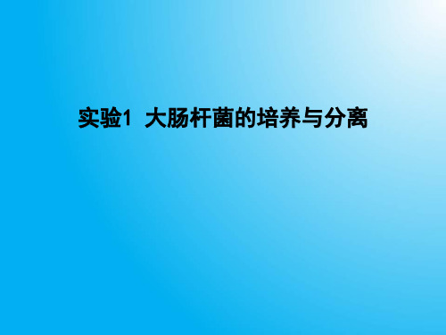 高中生物PPT课件实验1  大肠杆菌的分离和培养