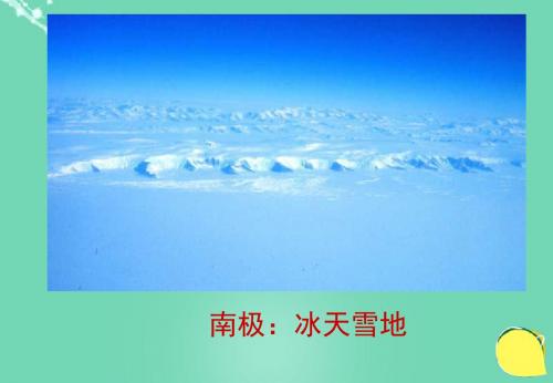 七年级语文下册21《伟大的悲剧》课件新人教版