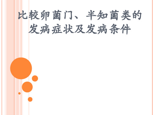 比较卵菌门、半知菌类的发病症状及发病条件