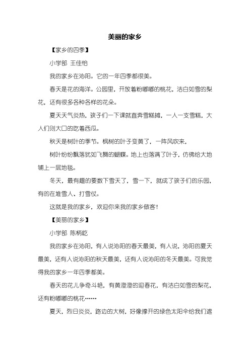 二年级作文：美丽的家乡作文100字