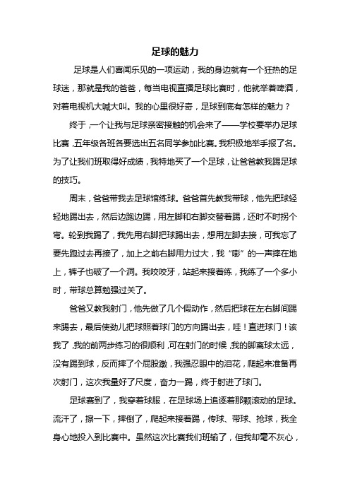 六年级作文：足球的魅力作文600字