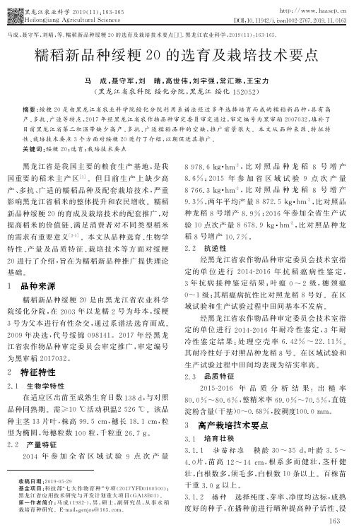 糯稻新品种绥粳20的选育及栽培技术要点