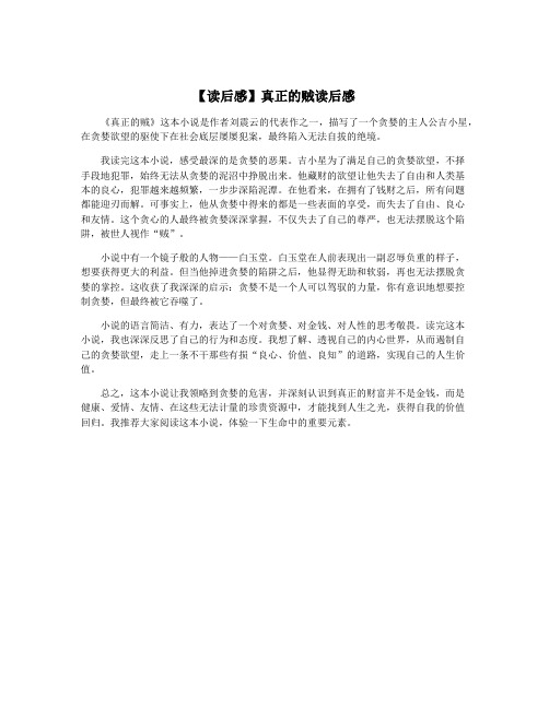 【读后感】真正的贼读后感