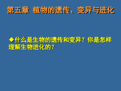 植物的遗传变异与进化