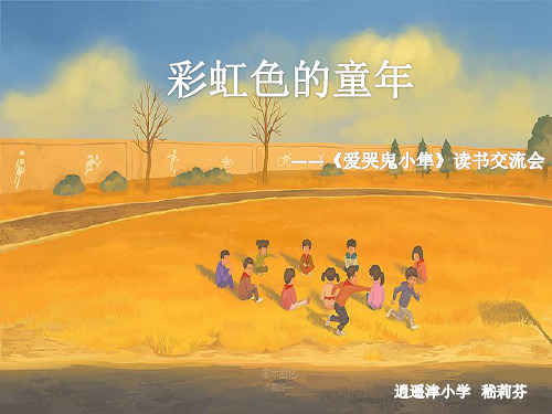 《爱哭鬼小隼》PPT