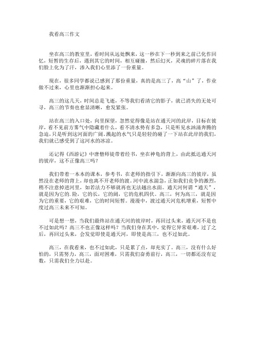 我看高三作文(最新)