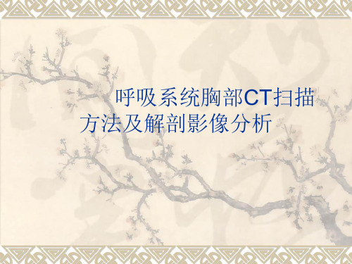 呼吸系统胸部CT扫描方法及解剖影像分析