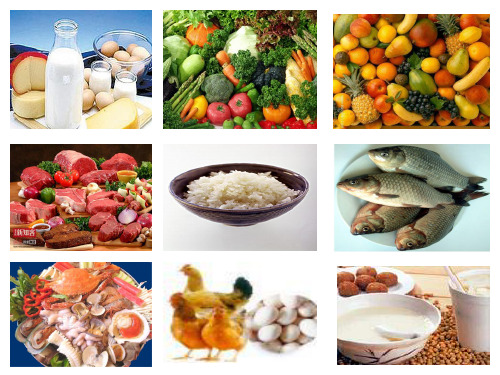 有营养的食物我最爱