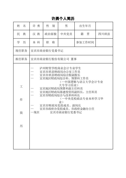 许勇个人简历