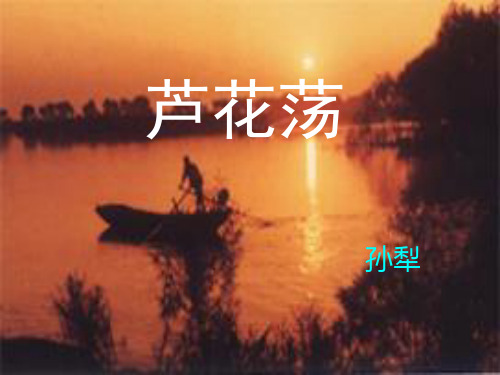 人教版初中语文八年级上册2芦花荡课件
