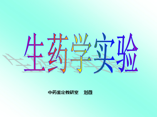 大黄及显微镜的使用(生药学)