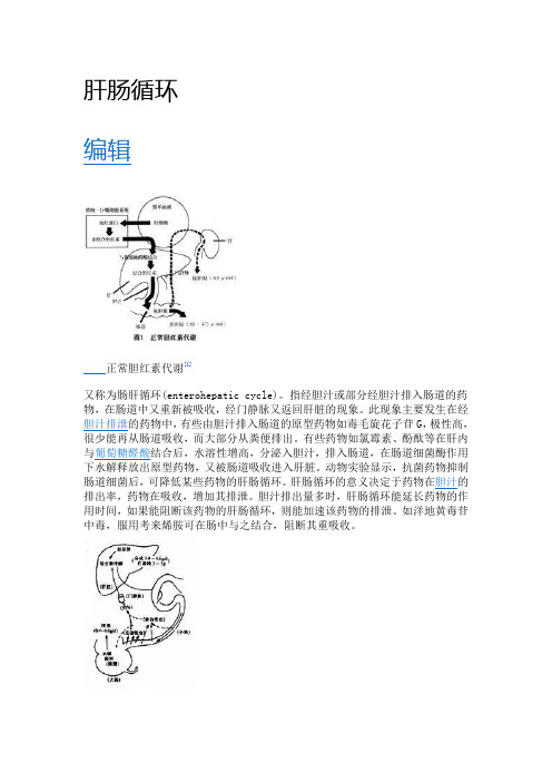 肝肠循环