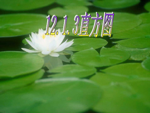 【数学课件】12.1.3直方图2(北师)