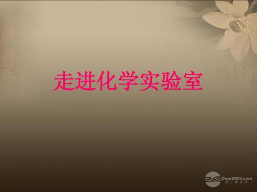 河南省郸城县光明中学九年级化学上册 第1单元 走进化学世界 课题3 走进化学实验室教学课件4 新人教版