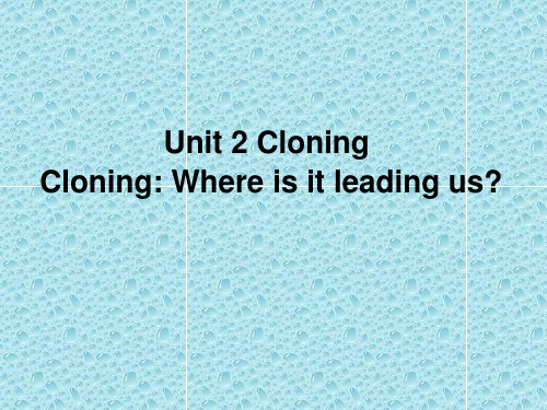 人教课标版高中英语选修8Unit2  Reading(共27张PPT)
