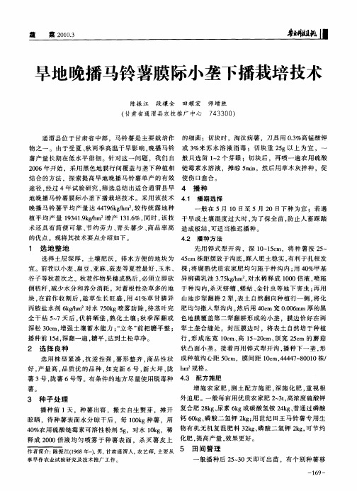 旱地晚播马铃薯膜际小垄下播栽培技术