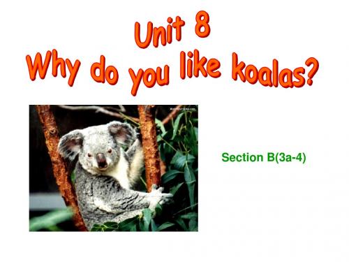 鲁教版六年级下册 Unit 8 Why do you like koalas PPT课件